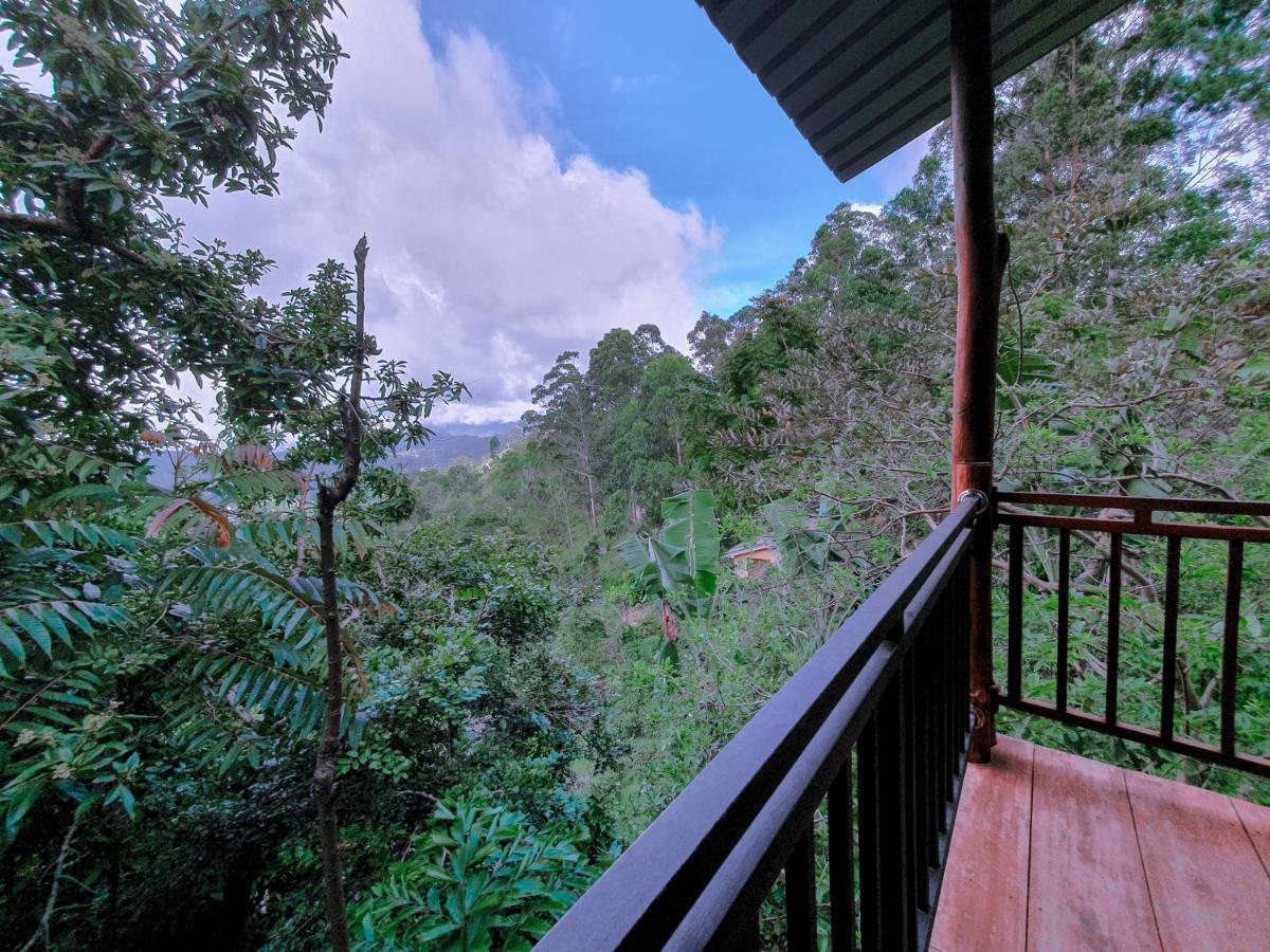 Serene Homestay Ella Εξωτερικό φωτογραφία