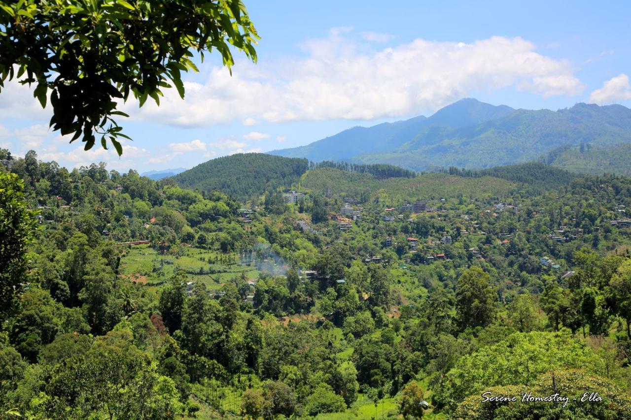 Serene Homestay Ella Εξωτερικό φωτογραφία