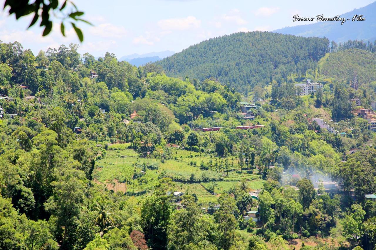 Serene Homestay Ella Εξωτερικό φωτογραφία