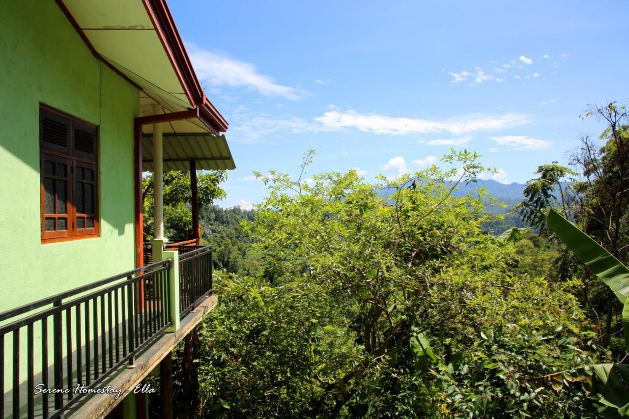 Serene Homestay Ella Εξωτερικό φωτογραφία