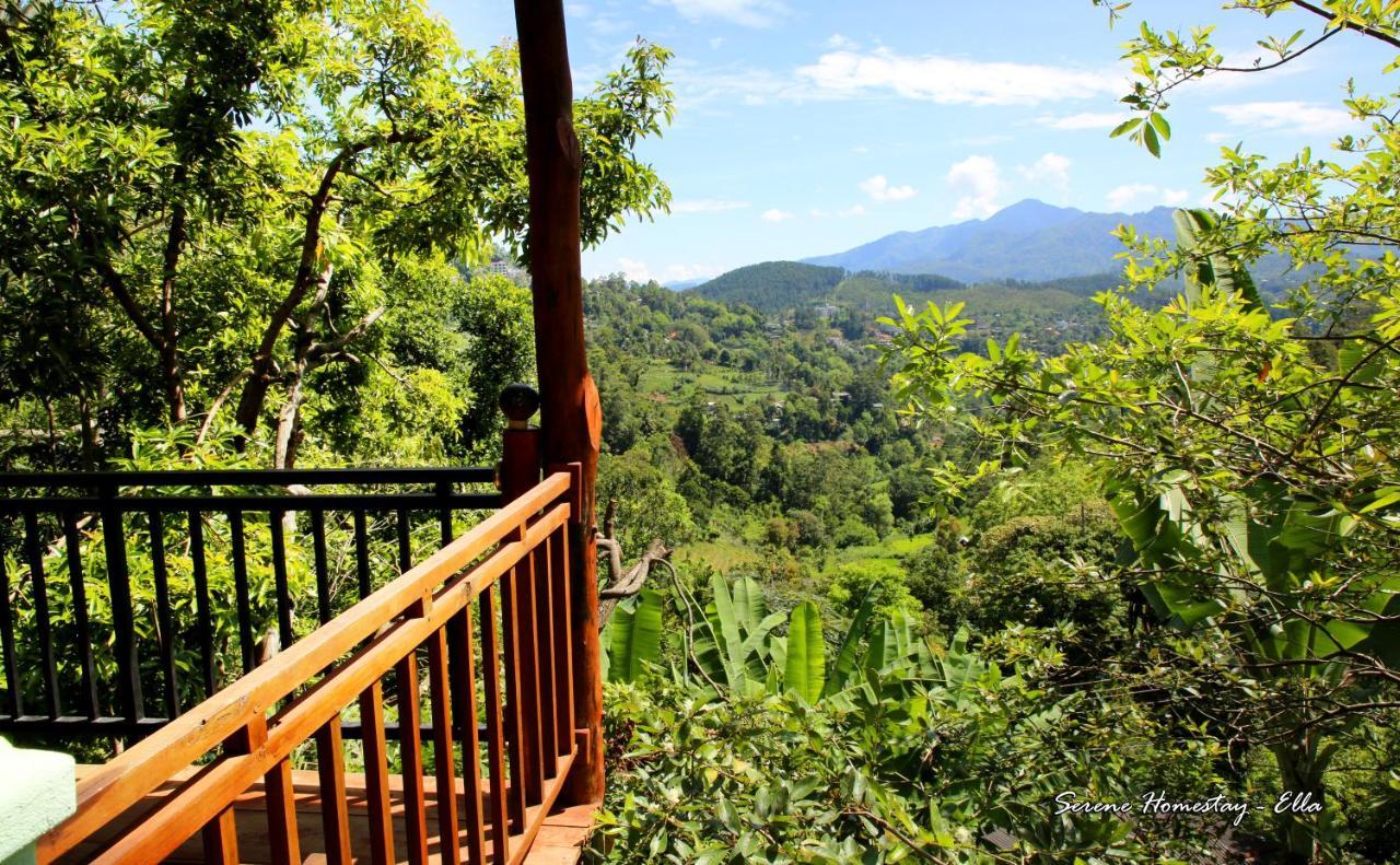 Serene Homestay Ella Εξωτερικό φωτογραφία
