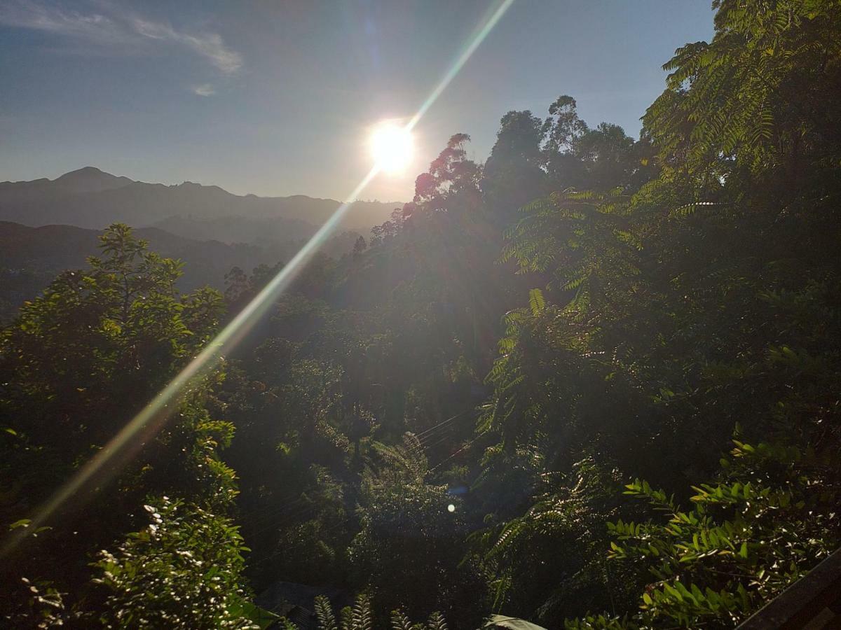 Serene Homestay Ella Εξωτερικό φωτογραφία